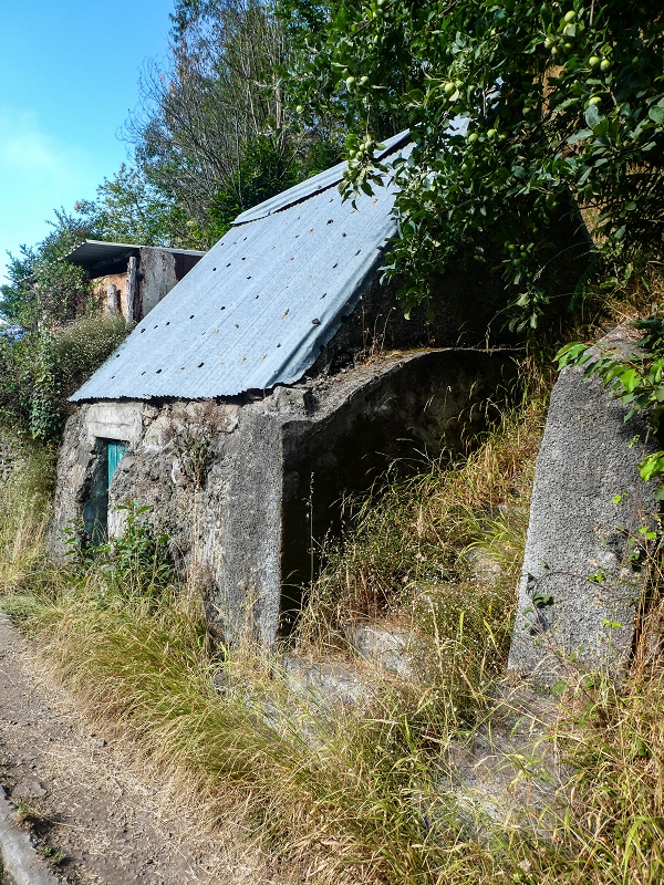 Levada da Rouca — Weiterverlauf des Westastes — Foto 2