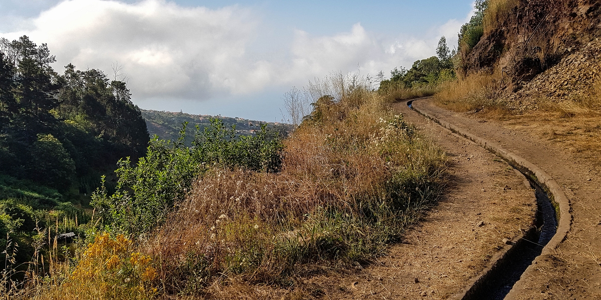 Levada da Rouca — Weiterverlauf des Westastes — Foto 3