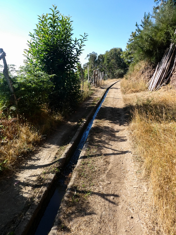 01.08.2021 Levada da Rouca und Aufstieg nach Chao dos Terreiros, zurück über die Boca da Corrida — Auf der Levada do Rouca: Wasserbecken und Ende des sichtbaren Verlaufes — Foto 5