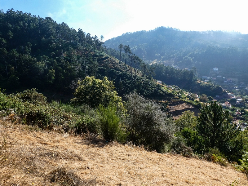 01.08.2021 Levada da Rouca und Aufstieg nach Chao dos Terreiros, zurück über die Boca da Corrida — Auf der Levada do Rouca: Wasserbecken und Ende des sichtbaren Verlaufes — Foto 6