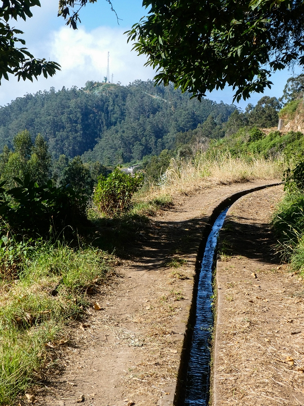 01.08.2021 Levada da Rouca und Aufstieg nach Chao dos Terreiros, zurück über die Boca da Corrida — Auf der Levada do Rouca: Wasserbecken und Ende des sichtbaren Verlaufes — Foto 8