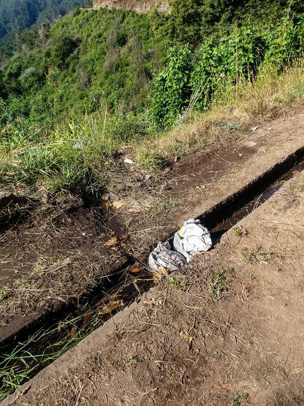 Levada da Rouca — Weiterverlauf des Westastes — Foto 4
