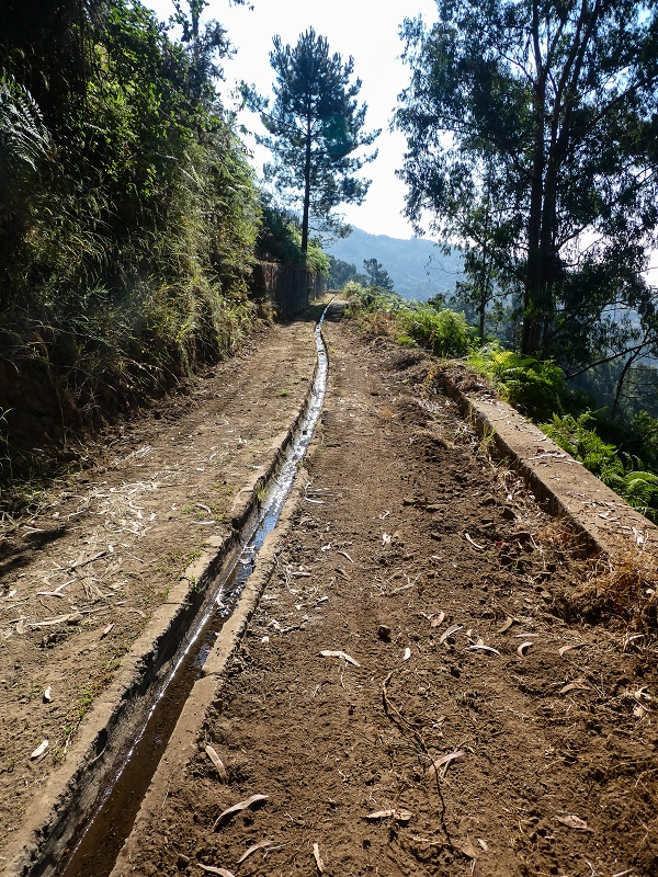 01.08.2021 Levada da Rouca und Aufstieg nach Chao dos Terreiros, zurück über die Boca da Corrida — Auf der Levada do Rouca: Wasserbecken und Ende des sichtbaren Verlaufes — Foto 10
