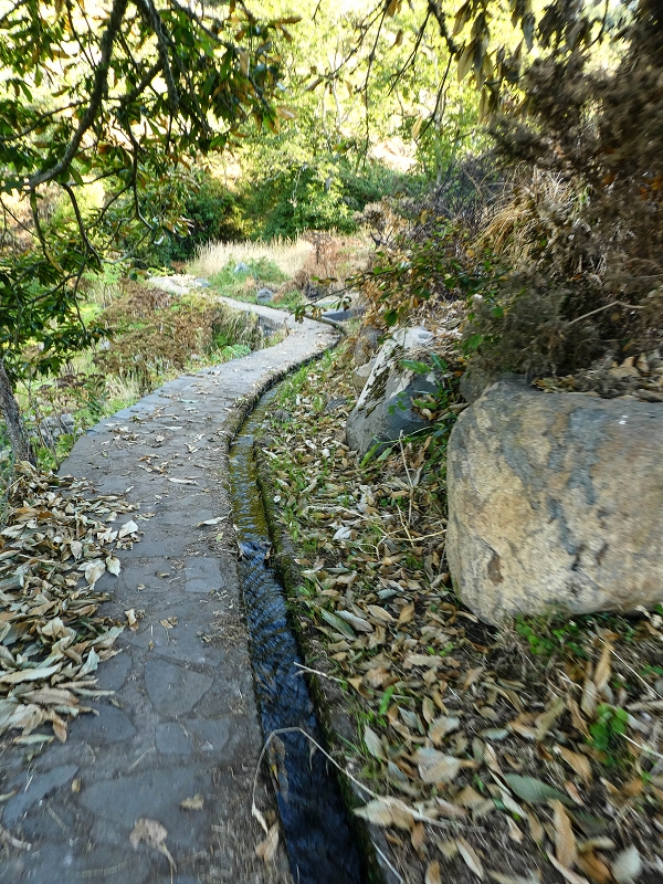 01.08.2021 Levada da Rouca und Aufstieg nach Chao dos Terreiros, zurück über die Boca da Corrida — Auf der Levada do Rouca: Grosses Wasserbecken und Levadafassungen — Foto 4