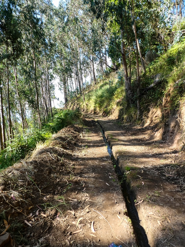 Levada da Rouca — Weiterverlauf des Westastes — Foto 5