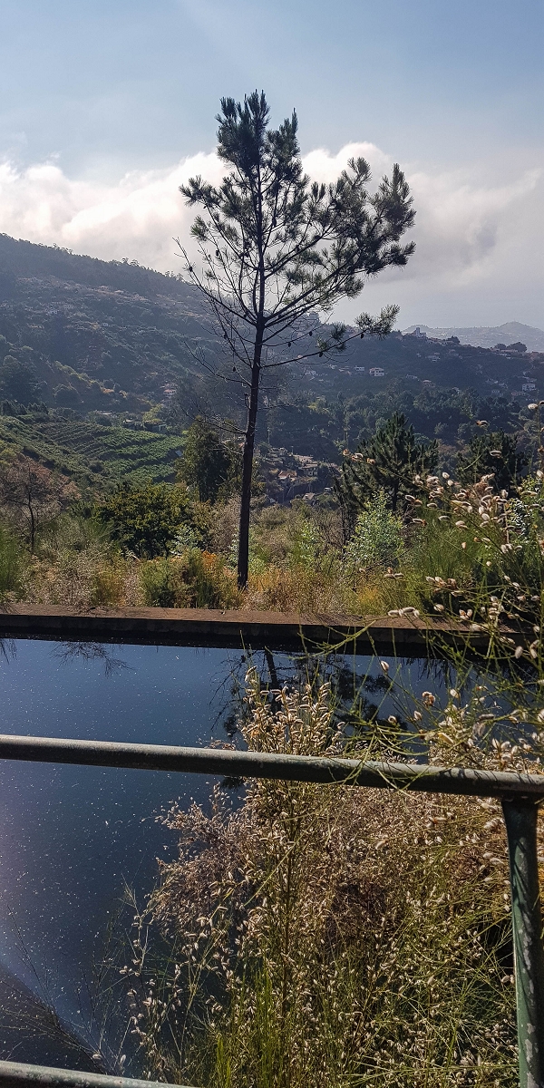 01.08.2021 Levada da Rouca und Aufstieg nach Chao dos Terreiros, zurück über die Boca da Corrida — Auf der Levada do Rouca: Wasserbecken und Ende des sichtbaren Verlaufes — Foto 14
