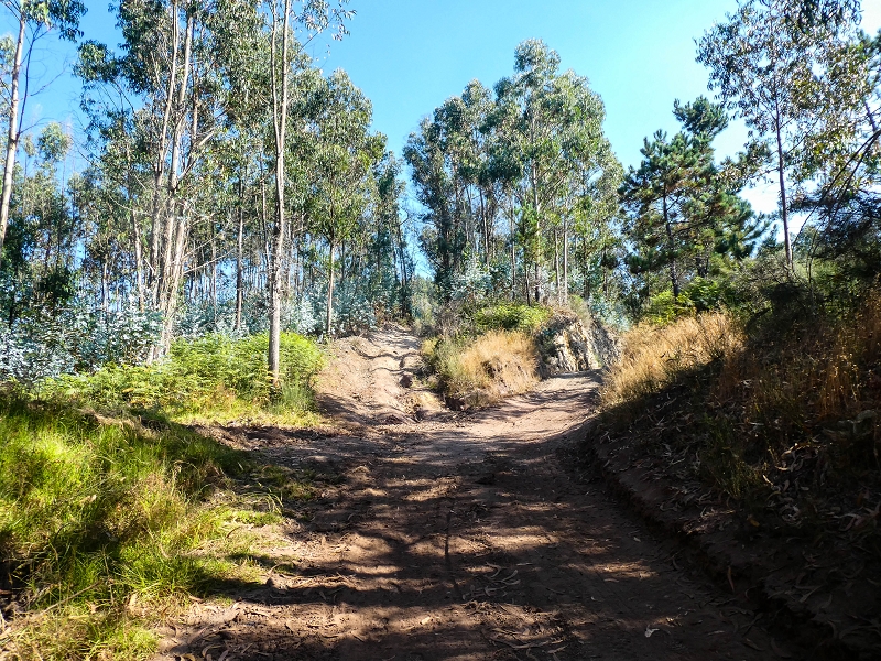 01.08.2021 Levada da Rouca und Aufstieg nach Chao dos Terreiros, zurück über die Boca da Corrida — Aufstieg zur Casa do Pestana — Foto 1