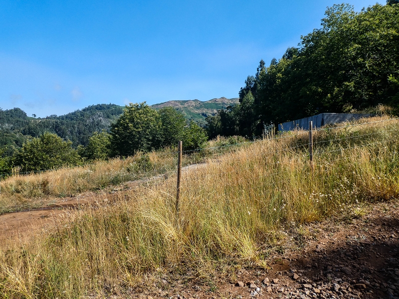 01.08.2021 Levada da Rouca und Aufstieg nach Chao dos Terreiros, zurück über die Boca da Corrida — Aufstieg zur Casa do Pestana — Foto 10