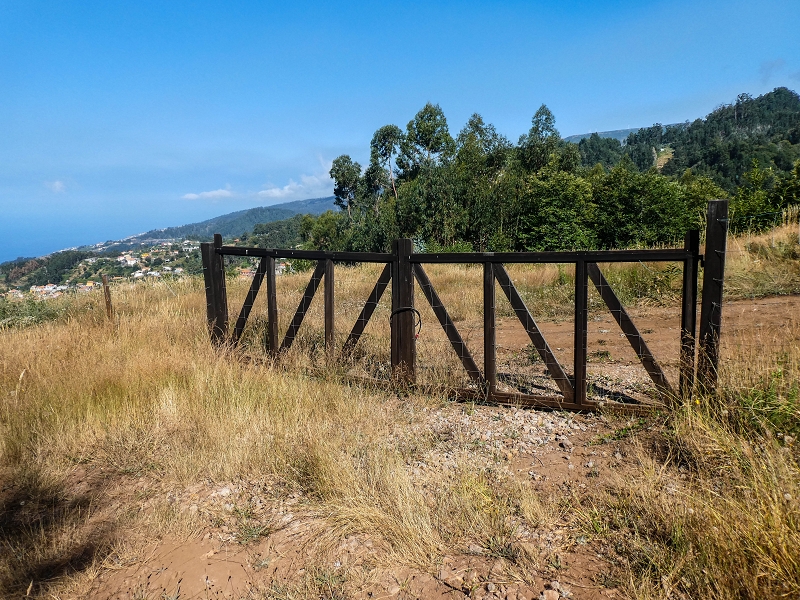 01.08.2021 Levada da Rouca und Aufstieg nach Chao dos Terreiros, zurück über die Boca da Corrida — Aufstieg zur Casa do Pestana — Foto 11
