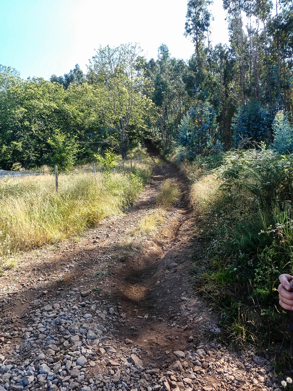 01.08.2021 Levada da Rouca und Aufstieg nach Chao dos Terreiros, zurück über die Boca da Corrida — Aufstieg zur Casa do Pestana — Foto 12