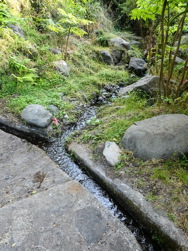 Levada da Rouca — Die ursprüngliche Madre der alten Levada und die aktuelle Madre des Ostastes in der Ribeira do Jardim und weitere Zuflusslevada — Foto 1