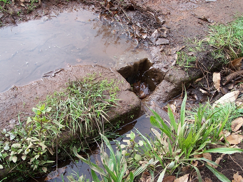 Levada da Rouca — Zusätzliche Seitenlevada — Foto 4