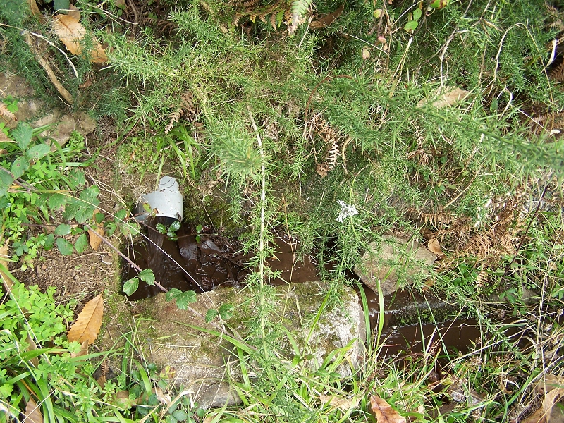 Levada da Rouca — Zusätzliche Seitenlevada — Foto 5