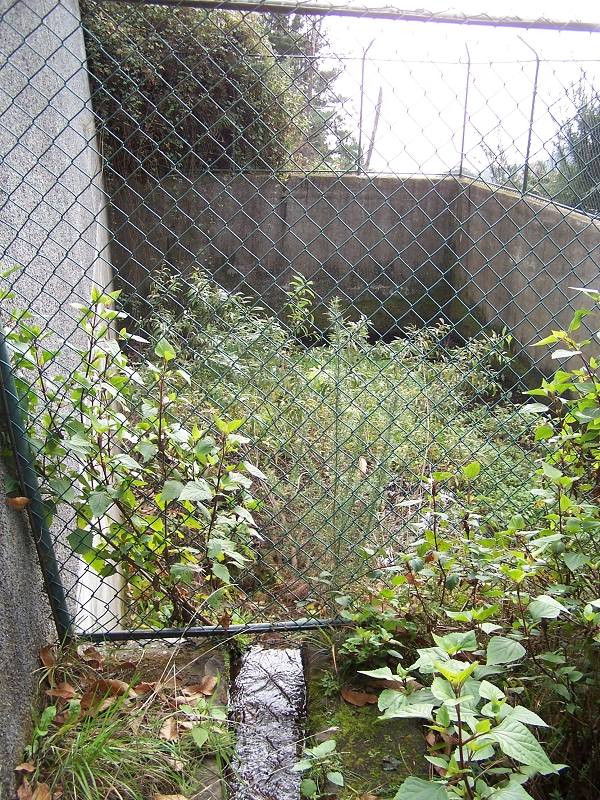 Levada da Rouca — Wassertank und Abzweigung zur lokalen Bewässerung — Foto 5