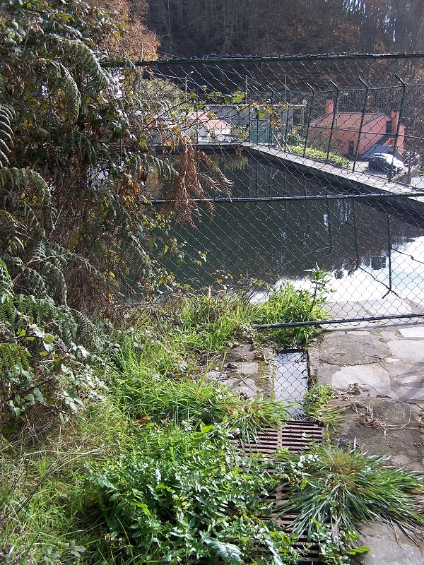Levada da Rouca — Zufluss zum grossen Reservoir — Foto 2