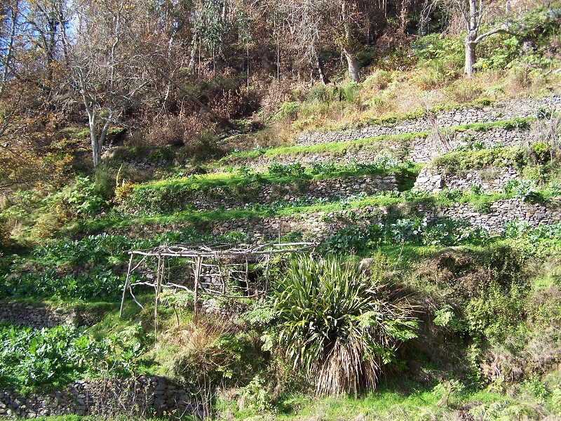 Levada da Rouca — Die ursprüngliche Madre der alten Levada und die aktuelle Madre des Ostastes in der Ribeira do Jardim und weitere Zuflusslevada — Foto 4