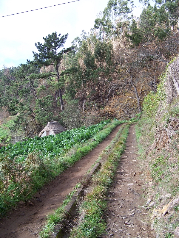 Levada da Rouca — Verfallener Teil des Ramal do Pico da Cruz ou da Rouca — Foto 8