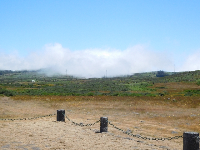 2 July 2016 Paul da Serra — Through the gorse to Nossa Senhora da Serra — photo 14