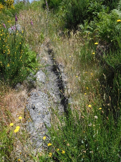 2 July 2016 Paul da Serra — To the dam on the Ribeira do Bezerro — photo 1