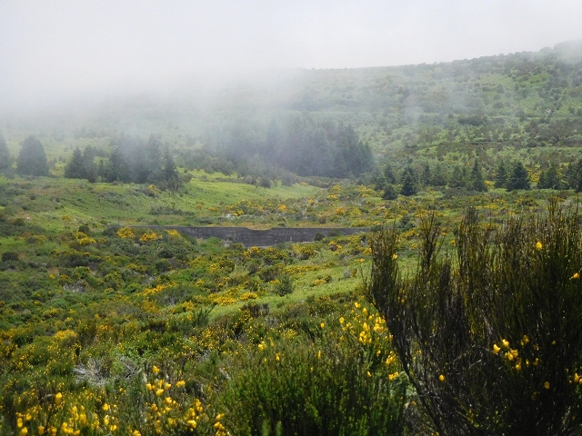 2 July 2016 Paul da Serra — To the dam on the Ribeira do Bezerro — photo 2