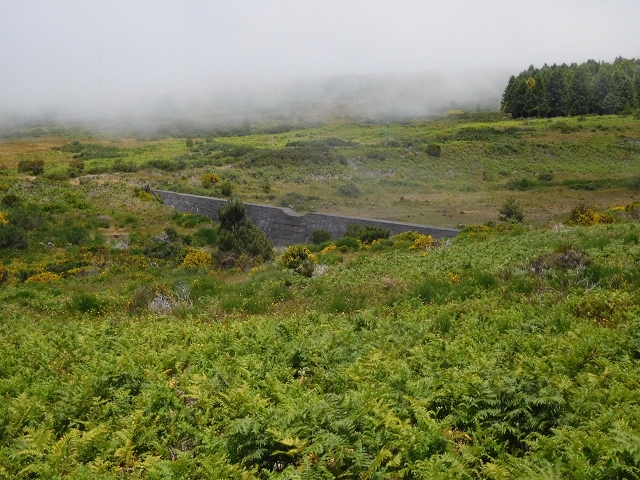 2 July 2016 Paul da Serra — To the dam on the Ribeira do Bezerro — photo 3