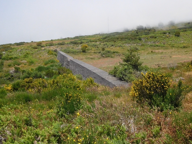 2 July 2016 Paul da Serra — To the dam on the Ribeira do Bezerro — photo 4