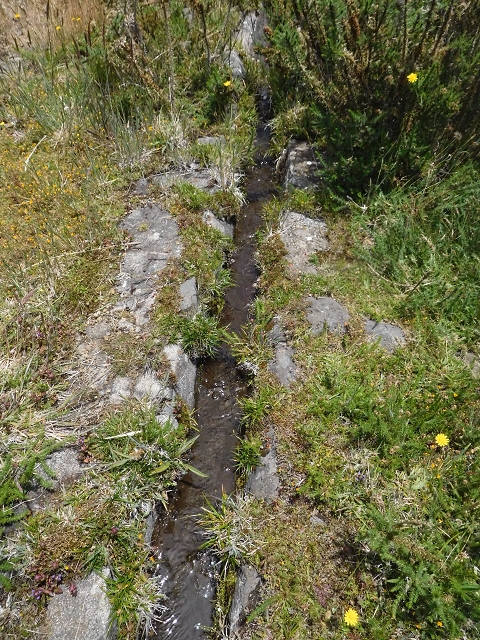 2 July 2016 Paul da Serra — To the dam on the Ribeira do Bezerro — photo 11