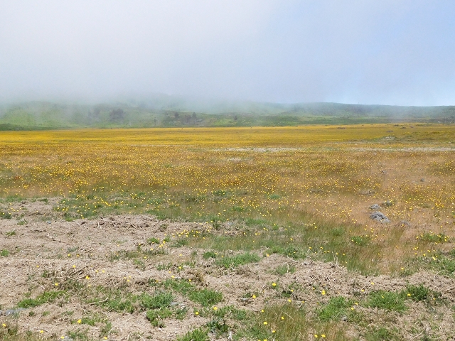 2 July 2016 Paul da Serra — Back along the road to the start — photo 3