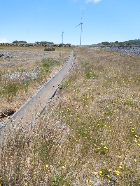 2 July 2016 Paul da Serra — Back along the road to the start — photo 11