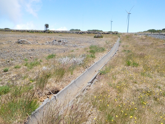 2 July 2016 Paul da Serra — Back along the road to the start — photo 12