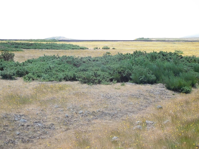 2 July 2016 Paul da Serra — Back along the road to the start — photo 13