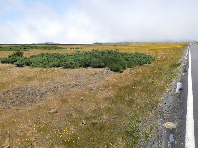 2 July 2016 Paul da Serra — Back along the road to the start — photo 14