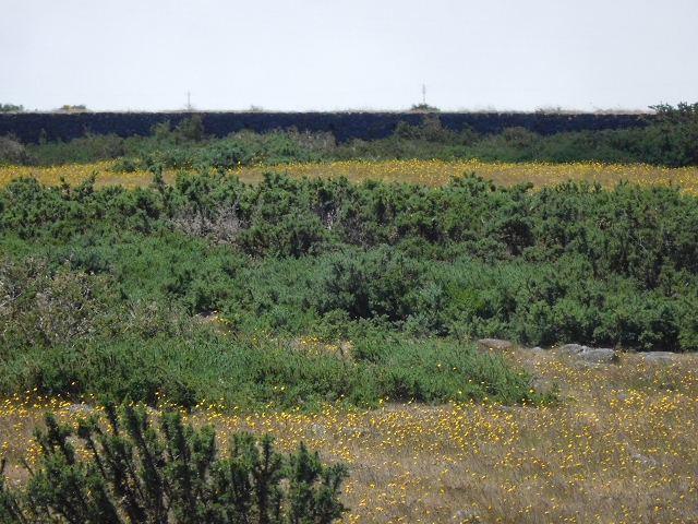 2 July 2016 Paul da Serra — Back along the road to the start — photo 15