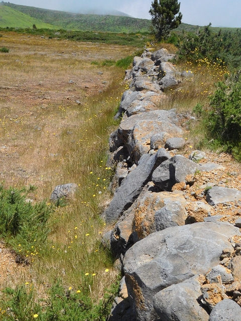 2 July 2016 Paul da Serra — Back along the road to the start — photo 18