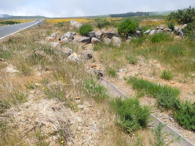 2 July 2016 Paul da Serra — Back along the road to the start — photo 19
