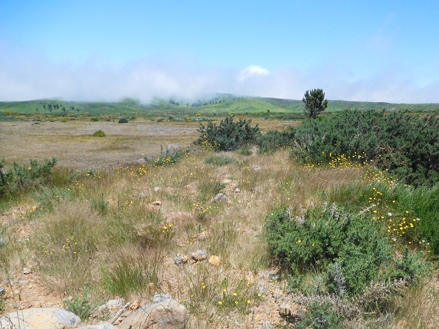 2 July 2016 Paul da Serra — Back along the road to the start — photo 20
