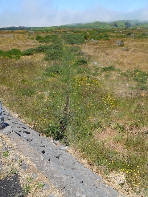 2 July 2016 Paul da Serra — Back along the road to the start — photo 22