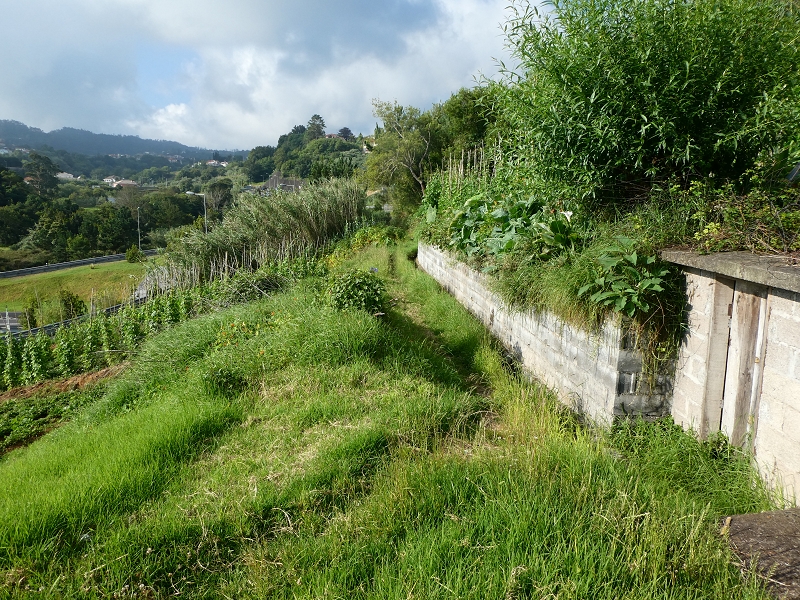 02.07.2018 Rocha do Navio und Levada do Cantinho, Miradouro de Santo Antonio — Von der Estrada das Covas zum Fio Velho — Foto 1