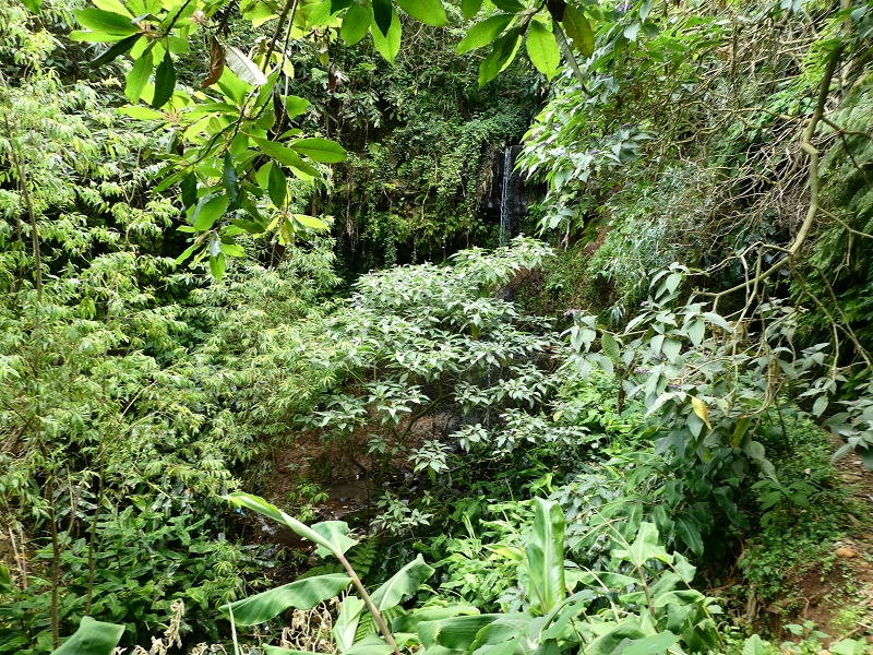 02.07.2018 Rocha do Navio und Levada do Cantinho, Miradouro de Santo Antonio — Levada do Cantinho: Der zweite feuchte Bacheinschnitt mit Wasserfall — Foto 2