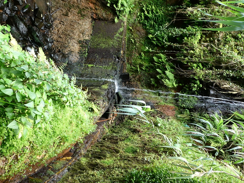 Levada do Cantinho — Passage des östlichen Seitenarmes des Corrego da Soca — Foto 2