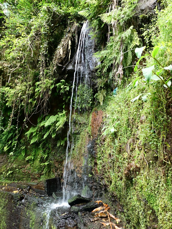 Levada do Cantinho — Passage des östlichen Seitenarmes des Corrego da Soca — Foto 3