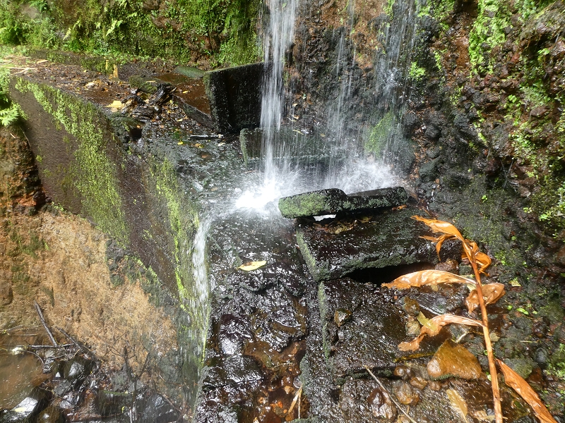 Levada do Cantinho — Passage des östlichen Seitenarmes des Corrego da Soca — Foto 4