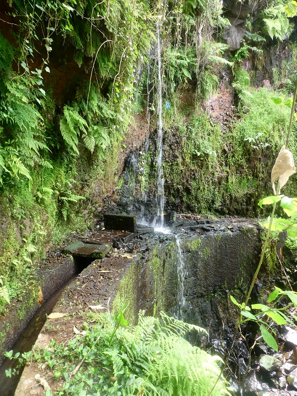 Levada do Cantinho — Passage des östlichen Seitenarmes des Corrego da Soca — Foto 5