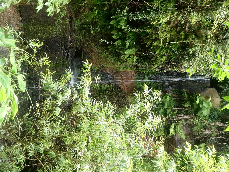 02.07.2018 Rocha do Navio und Levada do Cantinho, Miradouro de Santo Antonio — Levada do Cantinho: Der zweite feuchte Bacheinschnitt mit Wasserfall — Foto 8
