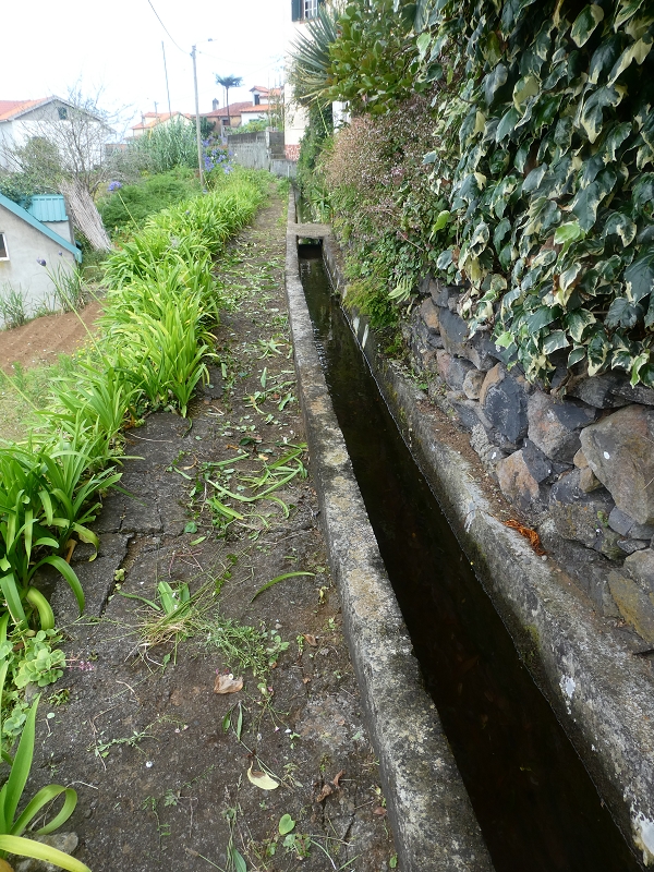 Levada do Cantinho — Tunnelportal 4 — Foto 3
