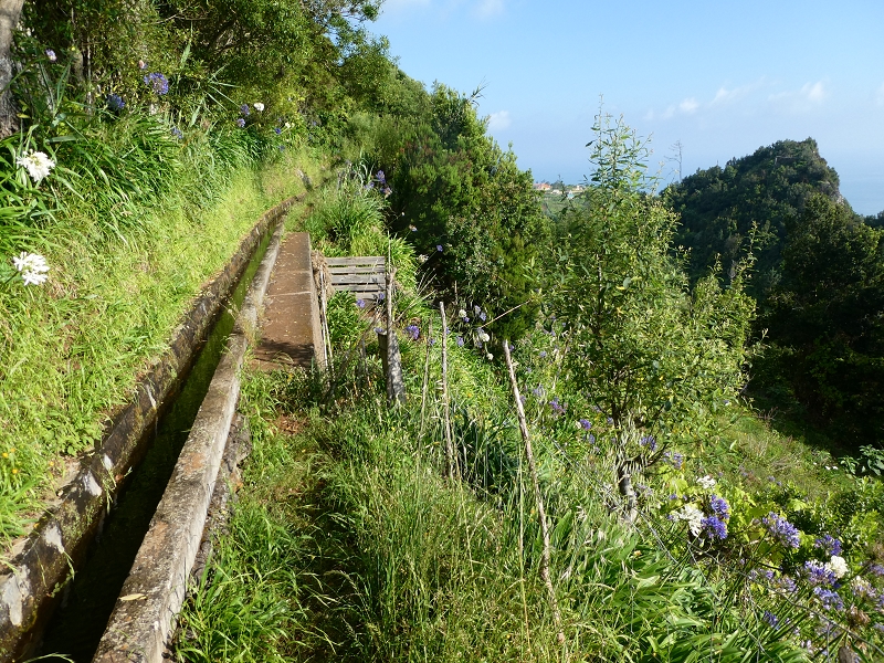 Levada do Cantinho — Lombo das Covas — Foto 1