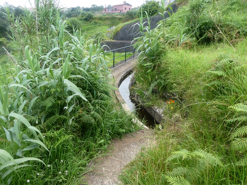 Levada do Cantinho — Tunnelportal 3 — Foto 1