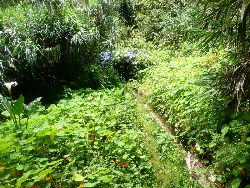 02.07.2018 Rocha do Navio und Levada do Cantinho, Miradouro de Santo Antonio — Levada do Cantinho: Der dritte Bacheinschnitt — Foto 2