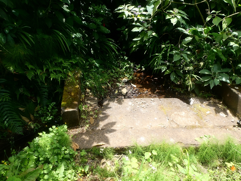 02.07.2018 Rocha do Navio und Levada do Cantinho, Miradouro de Santo Antonio — Levada do Cantinho: Der dritte Bacheinschnitt — Foto 4