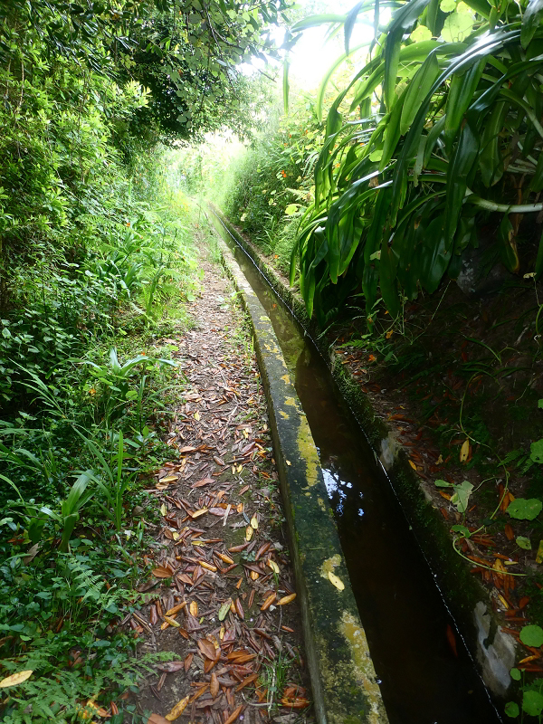 02.07.2018 Rocha do Navio und Levada do Cantinho, Miradouro de Santo Antonio — Levada do Cantinho: Der dritte Bacheinschnitt — Foto 6